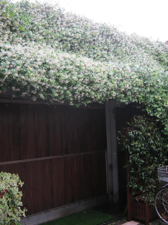 Casa Di Carlo Goldoni - Dimora Storica Bed & Breakfast Chioggia Bagian luar foto